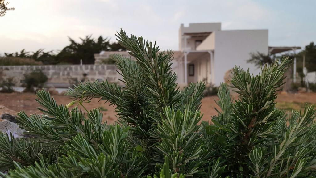 Casa Vacanze Senia Del Rais Favignana Zewnętrze zdjęcie